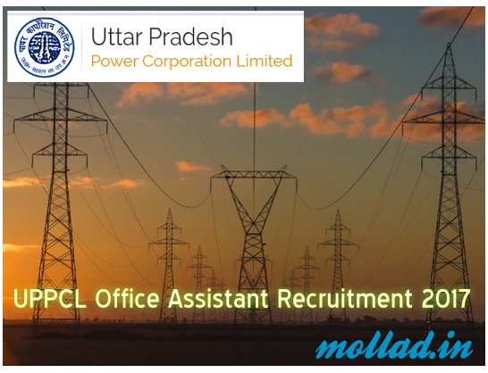 uppcl recruitment 2017