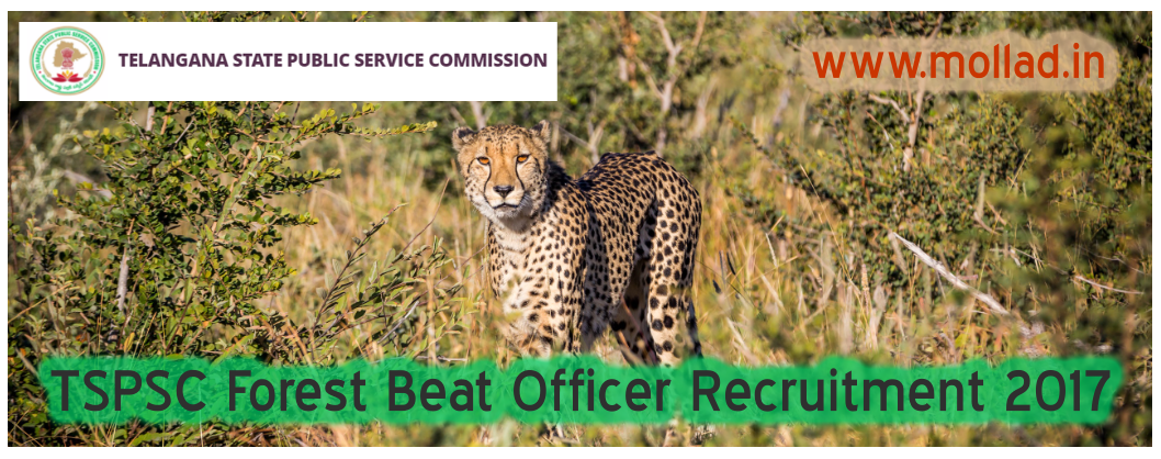 tspsc forest beat officer recruitment 2017