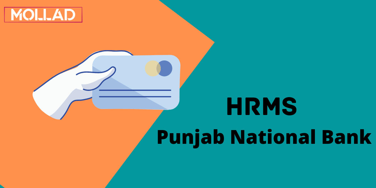 pnb hrms portal
